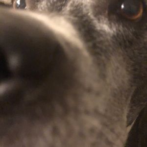 Meet your Posher, Jeff